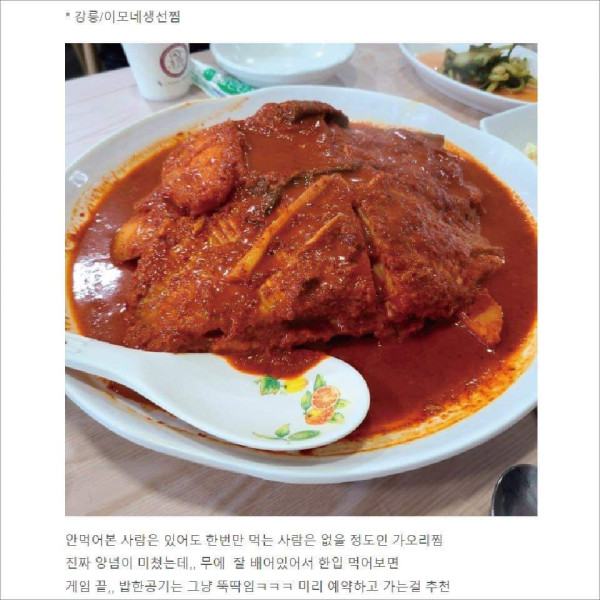 내돈내산 강원도 맛집 모음