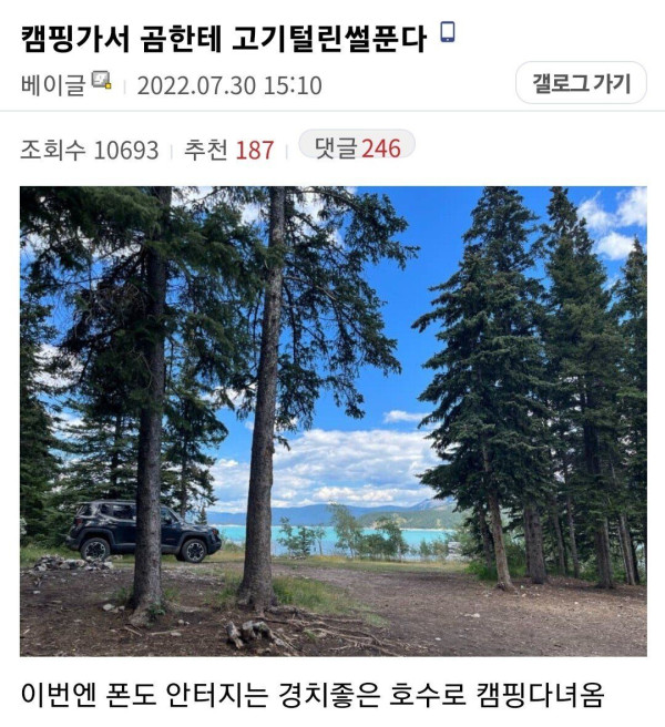 캠핑 가서 흑곰한테 삥 뜯긴 디시인