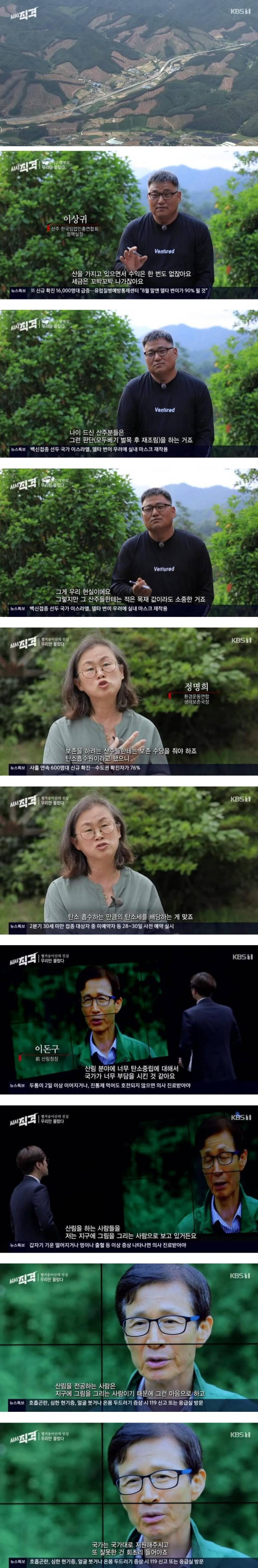 산주들이 나무를 베고 산을 훼손하는 이유