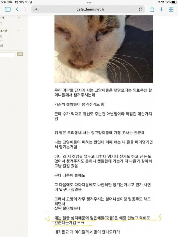 못생긴 고양이는 밥안줌